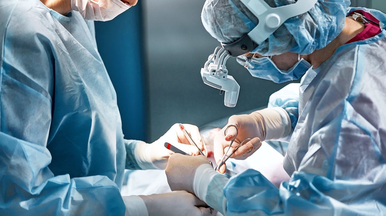 transplantation hépatique